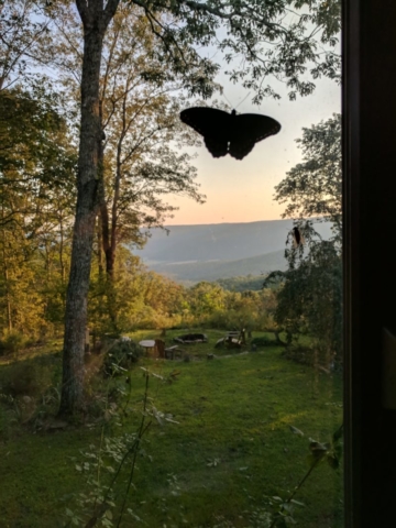 Sewanee, The Nest at Sewanee, Guest Room, Bluff views, University of the South, hiking