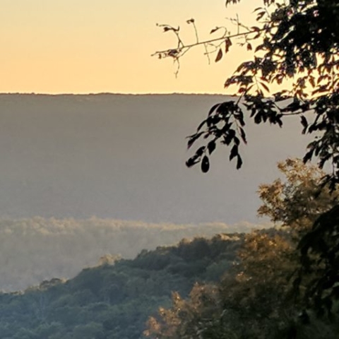 Sewanee, The Nest at Sewanee, Guest Room, Bluff views, University of the South, hiking